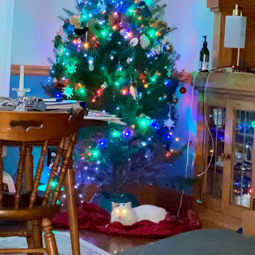 A fluffy white cat with black marks on his head sits under a Christmas tree on a rumpled red tree skirt. His eyes are glowing from the camera flash hitting his retinas, giving him that lit-from-within glow.
