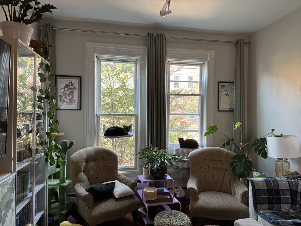 two windows, each with a cat sitting in them