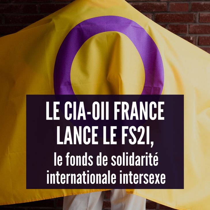 "Pour donner au FS2I : deux collectes ont été ouvertes, une sur GoFundMe et une sur HelloAsso. Tous les liens pour donner sont dans la description de ce post, et dans le lien en bio !" En bas, une photo d'un drapeau intersexe porté par une personne de dos comme une cape, et par-dessus le logo, blanc jaune et violet, du FS2I.