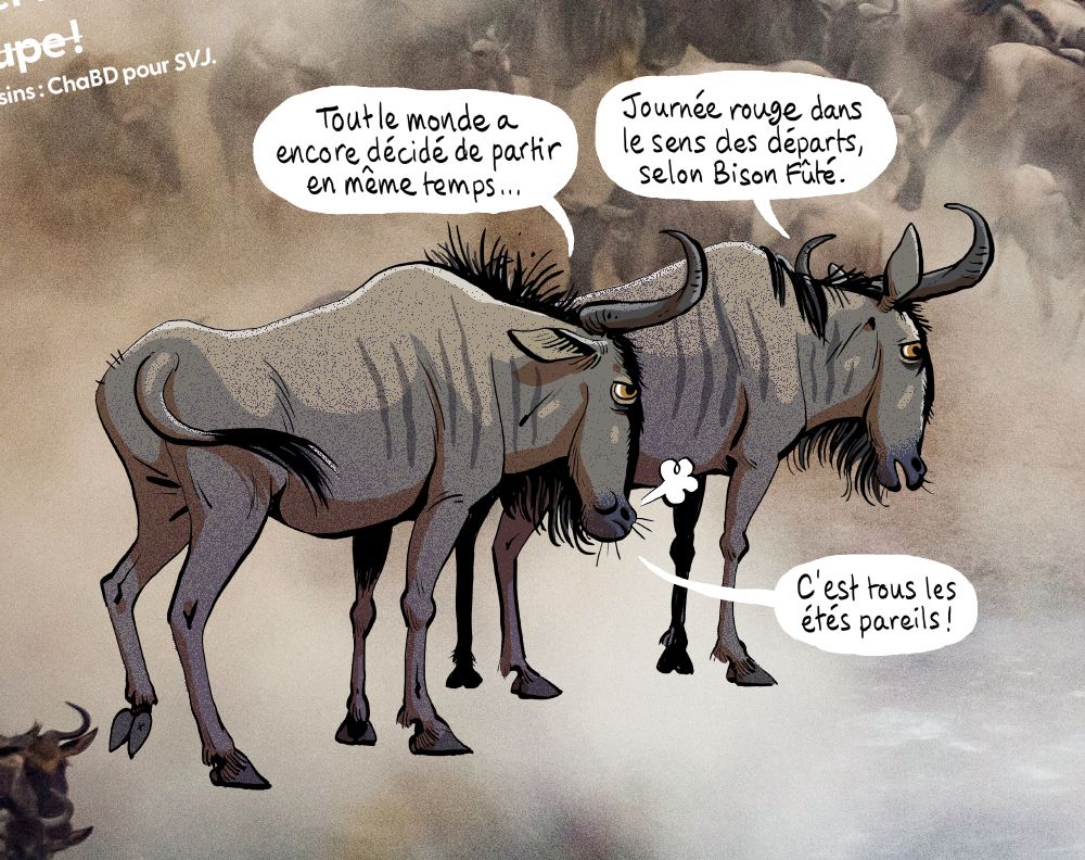 Deux gnous :
- "Tout le monde a encore décidé de partir en même temps..."
- "Journée rouge dans le sens des départs, selon Bison Fûté."
- "C'est tous les étés pareil !"