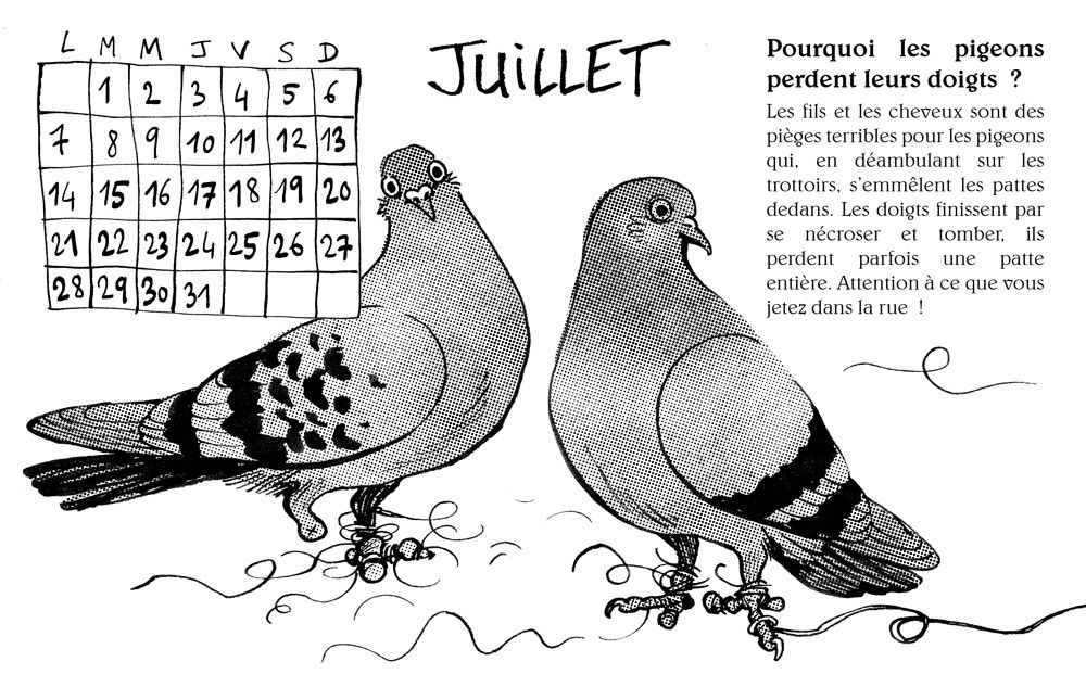 Des pigeons avec des fils et cheveux enroules aux pattes. Texte : Pourquoi les pigeons perdent leurs doigts ?
Les fils et les cheveux sont des pièges terribles pour les pigeons qui, en déambulant sur les trottoirs, s’emmêlent les pattes dedans. Les doigts finissent par se nécroser et tomber, ils perdent parfois une patte entière. Attention à ce que vous jetez dans la rue !  