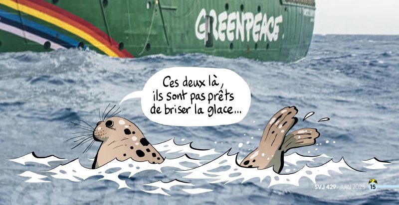 Un phoque dans la mer : "Ces deux là, ils sont pas prêts de briser la glace..."