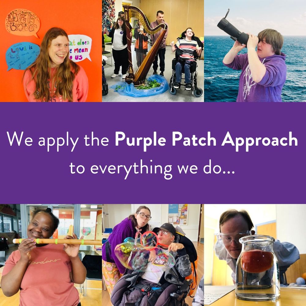 White text with a purple background it says "We apply the Purple Patch Approach to everything we do... " With an image of purple participants from the Programmes.