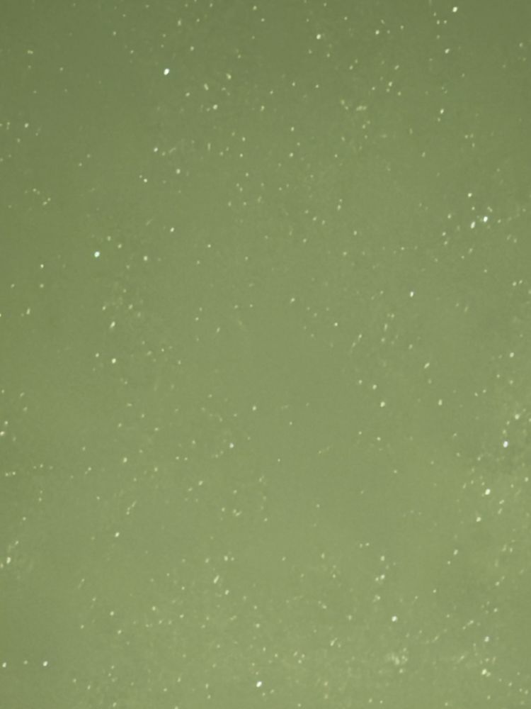 A long exposure of a star field from an iPhone’s main camera at 5x zoom. Being digital at this zoom level means the white balance is extremely off. 