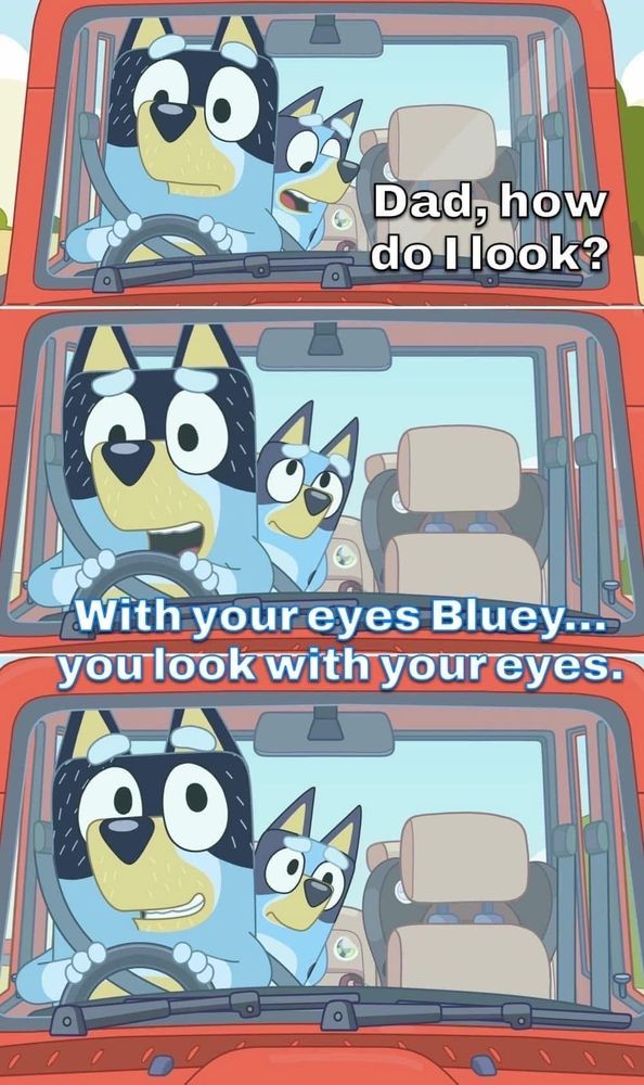 A screen capture of an episode of Blue. 
Bandit is driving and Bluey is in the back seat. 
Bluey: “Dad, how do I look?”
Bandit looks at Bluey from the rearview mirror and states “With your eyes Bluey... you look with your eyes.” 
Bluey has a “really dad” look on her face. 