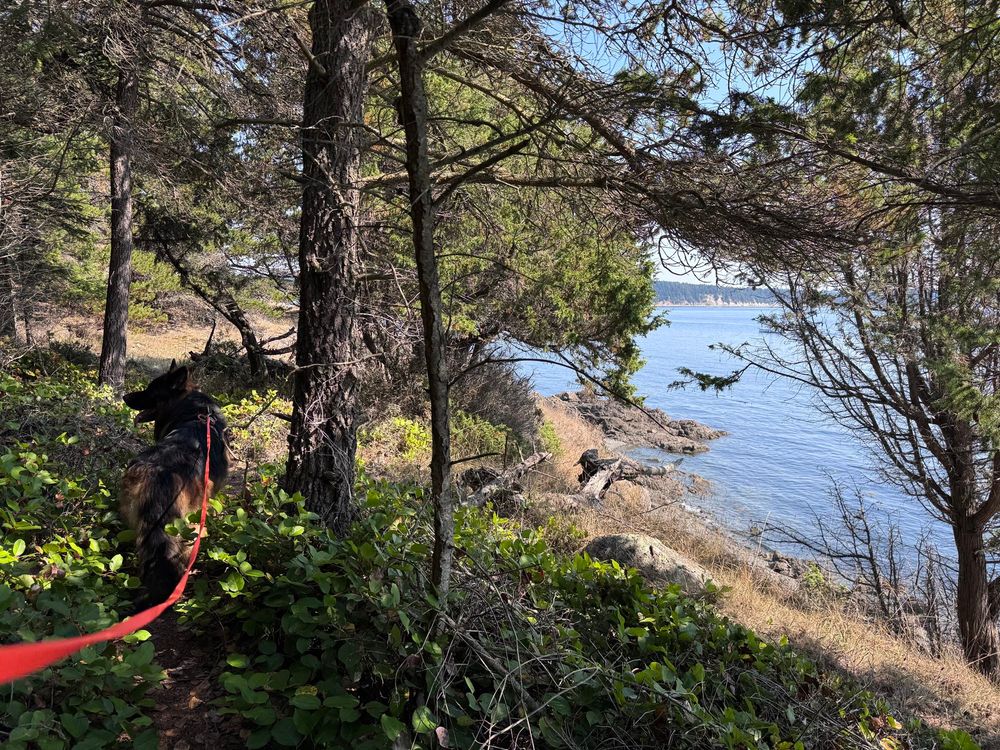 Here we are on another part of another hike. We’re in the forest and you can look out and see the sea on the right.