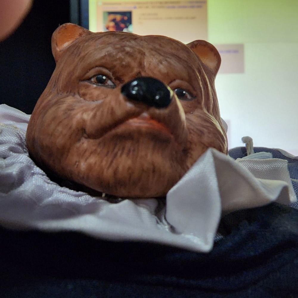 Wistfully, the bear watches. Only wanting peace for you and all of us. 