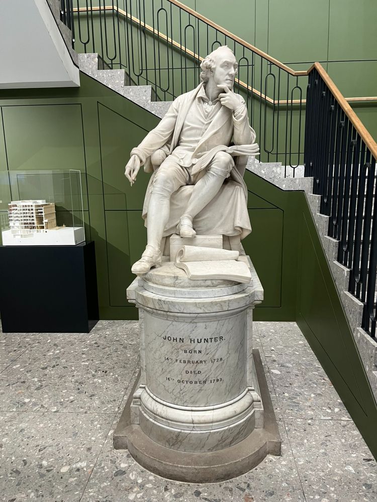 White marble statue of John Hunter, sitting with hand on chin in thoughtful pose. 