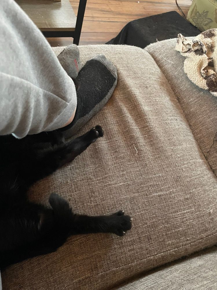 on a couch, two black cat feet with stretched toes sticking out from under my bent legs