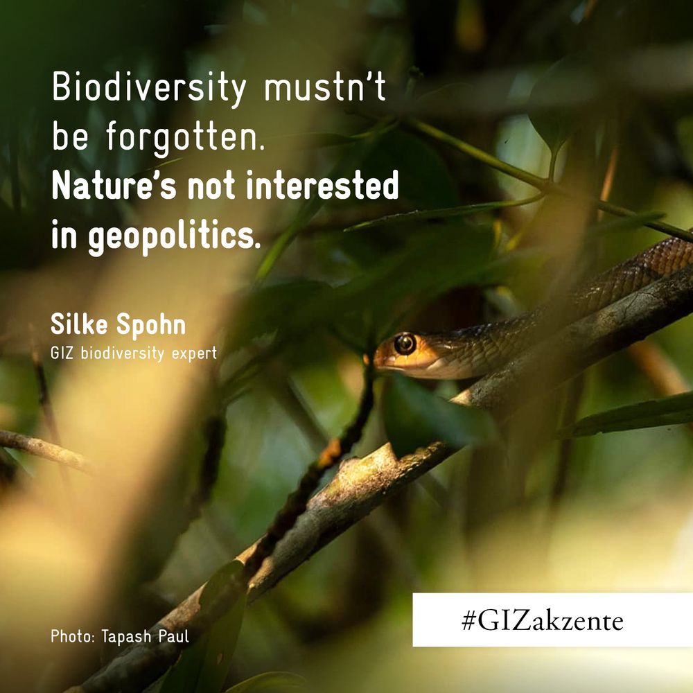 Silke Spohn of GIZ warns: biodiversity must not be sidelined by geopolitics.
