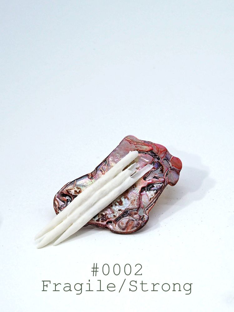 A red piece of shell, with tree porcelain spikes on it that makes a brooch to wear. 