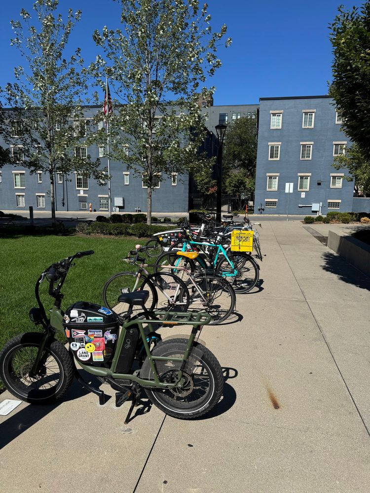 a dozen bikes parked on a sunny day