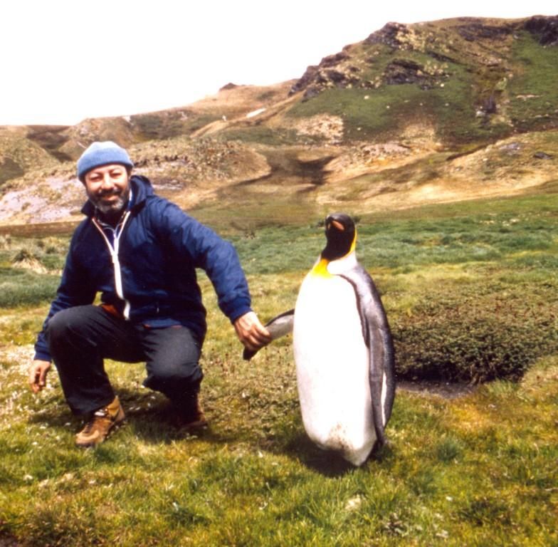 A man holding hands with a penguin