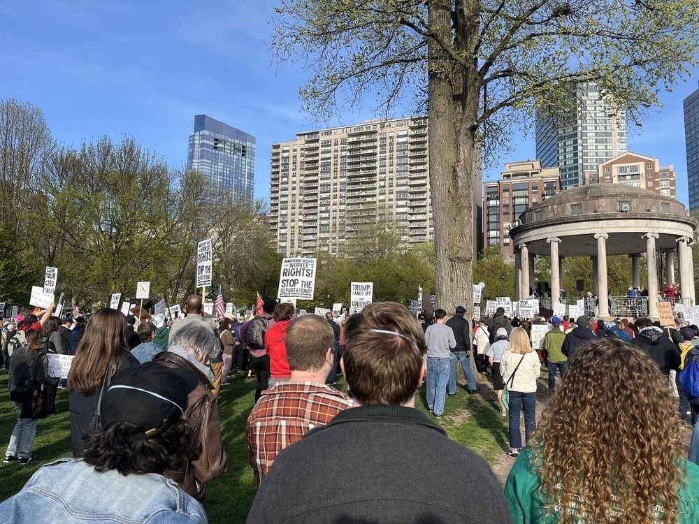 A big crowd of protesters on the Boston Common