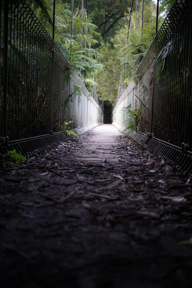Tarra bulga suspension bridge 