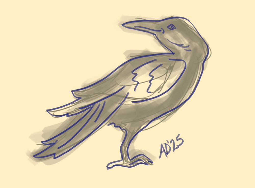 Quick sketch of a cocky raven. 