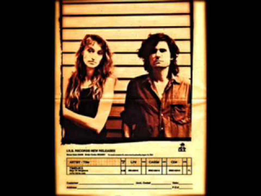 Assholes On Parade by Timbuk 3