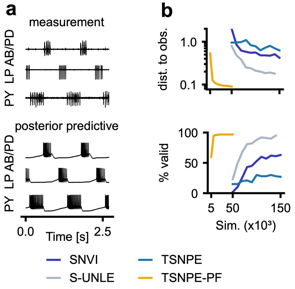 Results on the pyloric simulator.
(a) Voltage traces from the experimental measurement (top) and a posterior predictive simulated using the posterior mean from TSNPE-PF as the parameter (bottom). 
(b) Average distance (energy scoring rule) to observation and percentage of valid simulation from posterior samples; compared to experimental results obtained in Glaser et al.