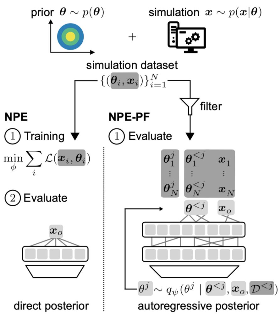Illustration of NPE and NPE-PF: Both approaches use simulations sampled from the prior and simulator. In (standard) NPE, a neural density estimator is trained to obtain the posterior. In NPE-PF, the posterior is evaluated by autoregressively passing the simulation dataset and observations to TabPFN.