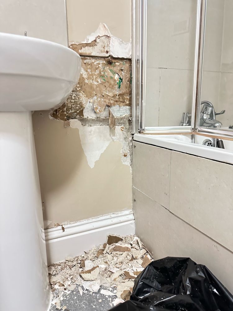 I went to scrape a little bubbling of paint off the wall and next thing I know I have scraped out a big damp square of plaster - whoops 