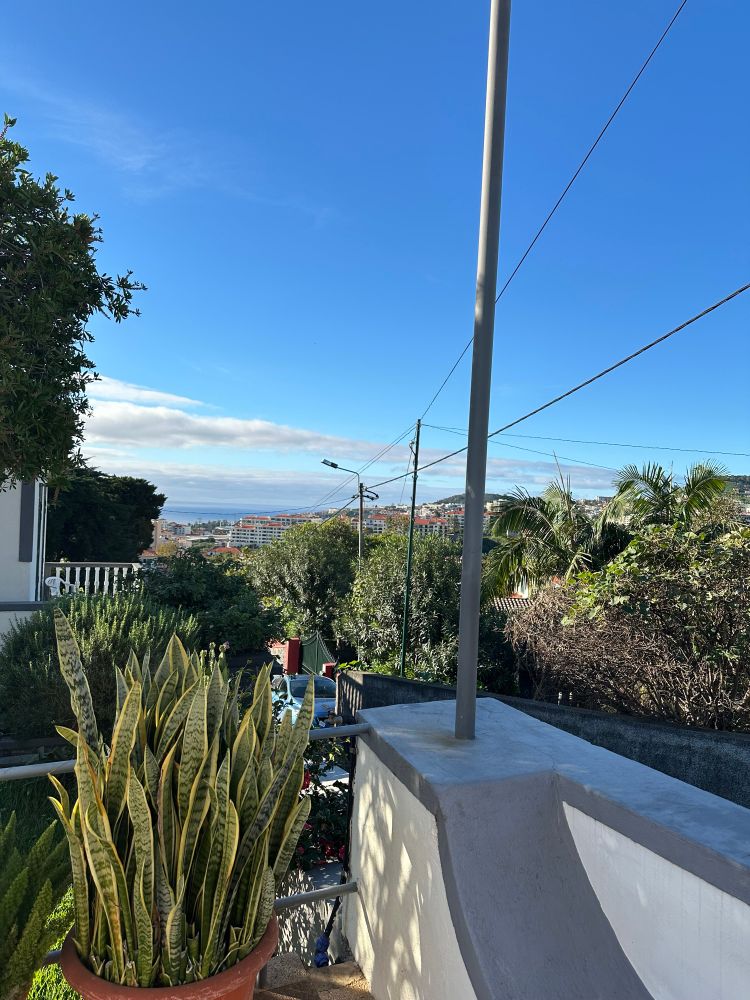 Front seating area on wall at parents house in Madeira - looking out towards sea in distance. Blue skies and lots of green trees and plants 