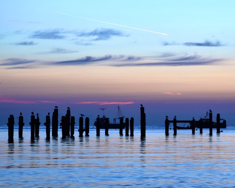 Gulls perch on the stumps of an old pier and fishing boats are moored behind. As the sun begins to rise, the smooth sea is pale blue and the sky has a pinkish purple hue against the silhouettes. 