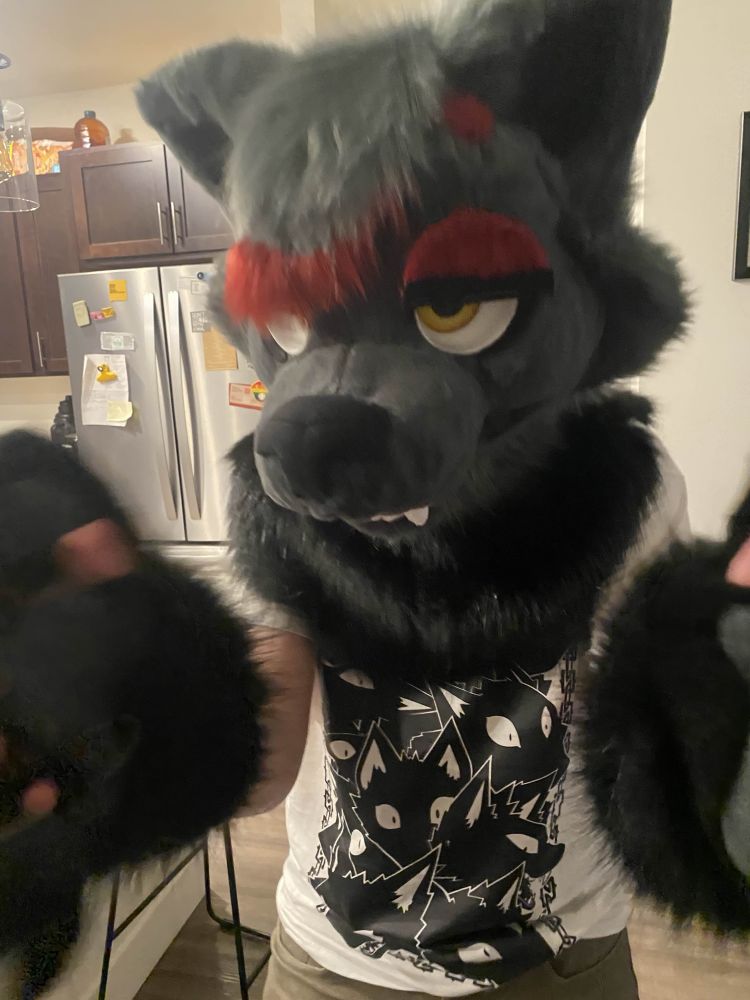 LUCAS FURSUIT