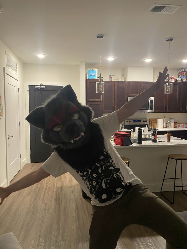 LUCAS FURSUIT
