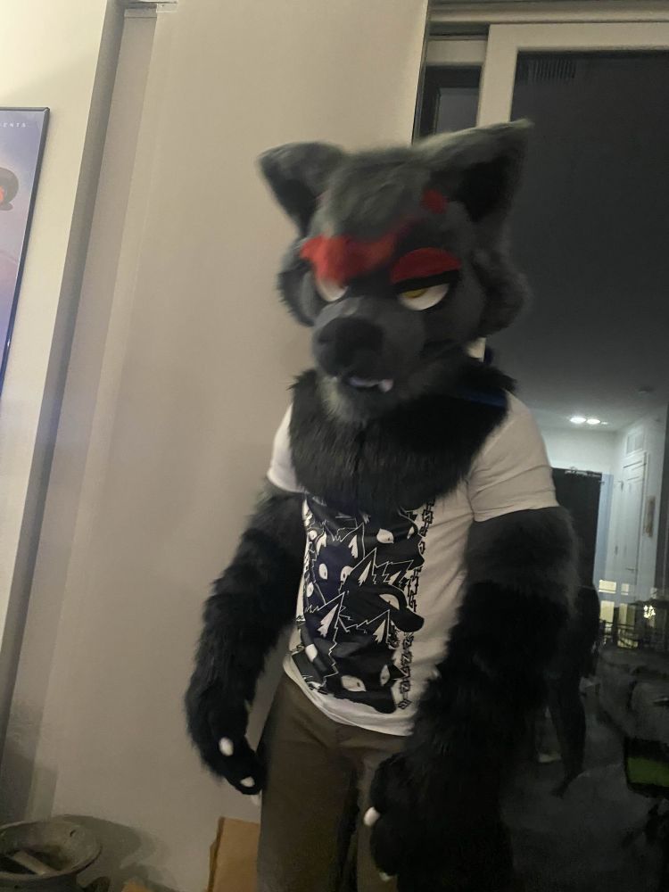 LUCAS FURSUIT