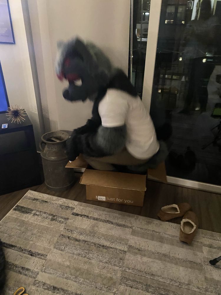 LUCAS FURSUIT