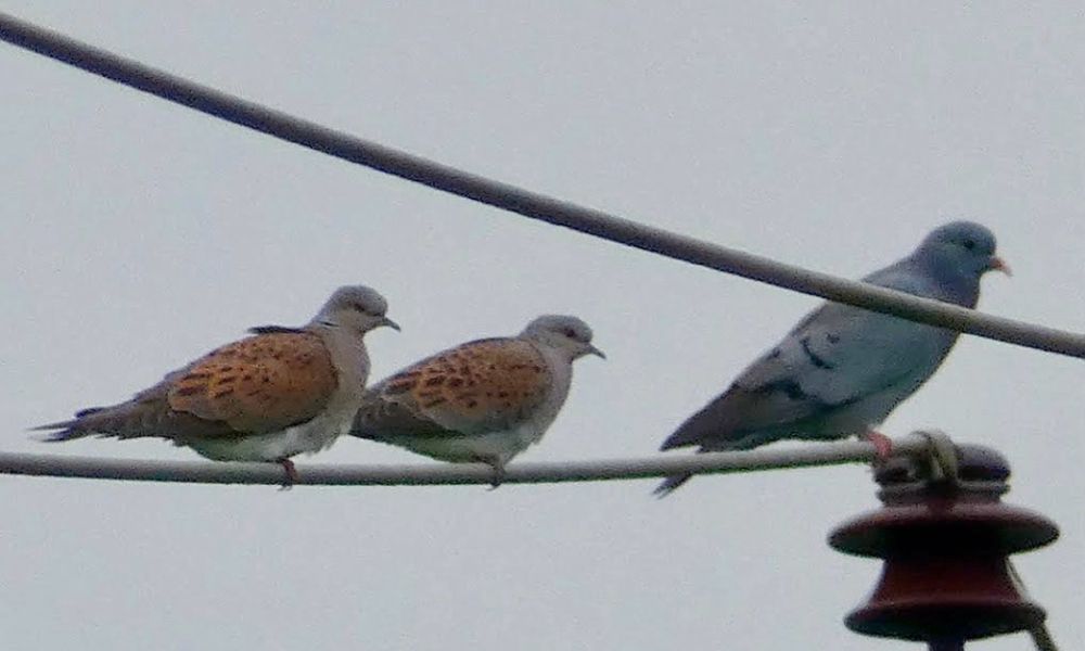 TDs, not telling you where though