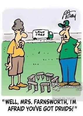 Cartoon:
Image of a woman and a man looking at a miniature Stonehenge in the yard. The man has a lawn care truck behind him.
Text: "Well, Mrs. Farsworth, I'm afraid you've got Druids!"
This is humor. 