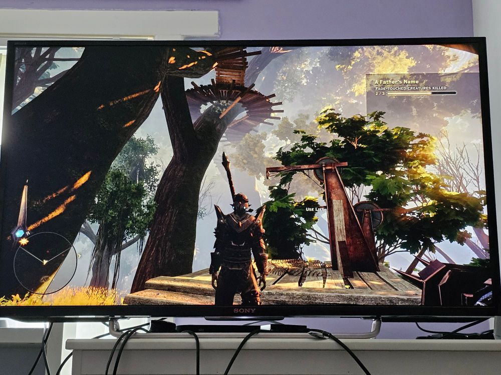 A photo of a TV screen. It shows the game Dragon Age: Inquisition, with the player character in the center in a forest area