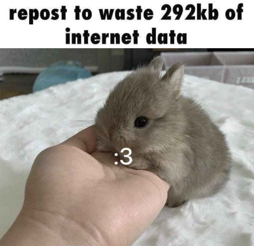 A bunny resting their head on someone's hand, captioned repost to waste 292kb of internet data.