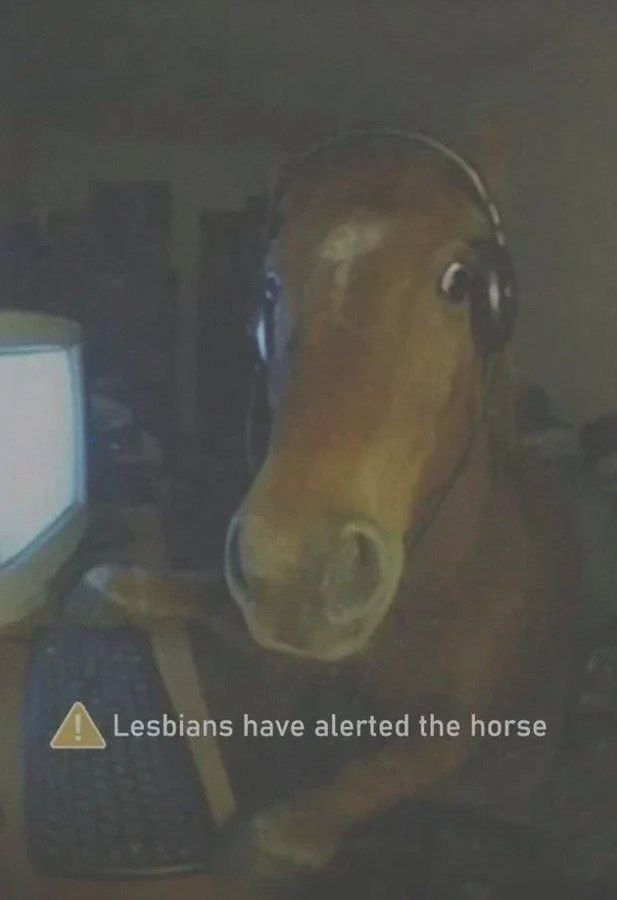 A surprised looking horse at a computer with headphones on, captioned “lesbians have alerted the horse”