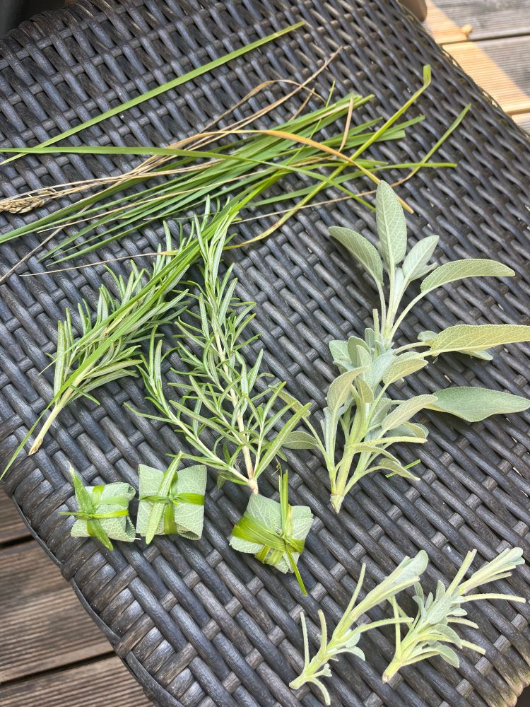 Different home grown garden herbs like rosemary, garden sage and sweetgrass