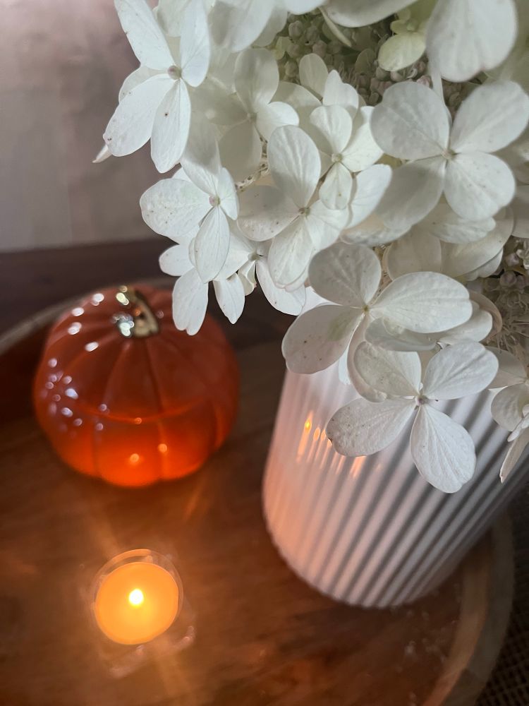 White hydrangeas, a pumpkin jar and a tealight providing autumn vibes