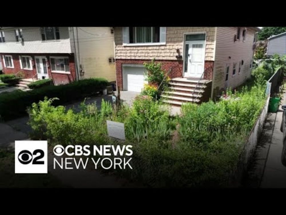 Village fines woman who replaced lawn with native plants