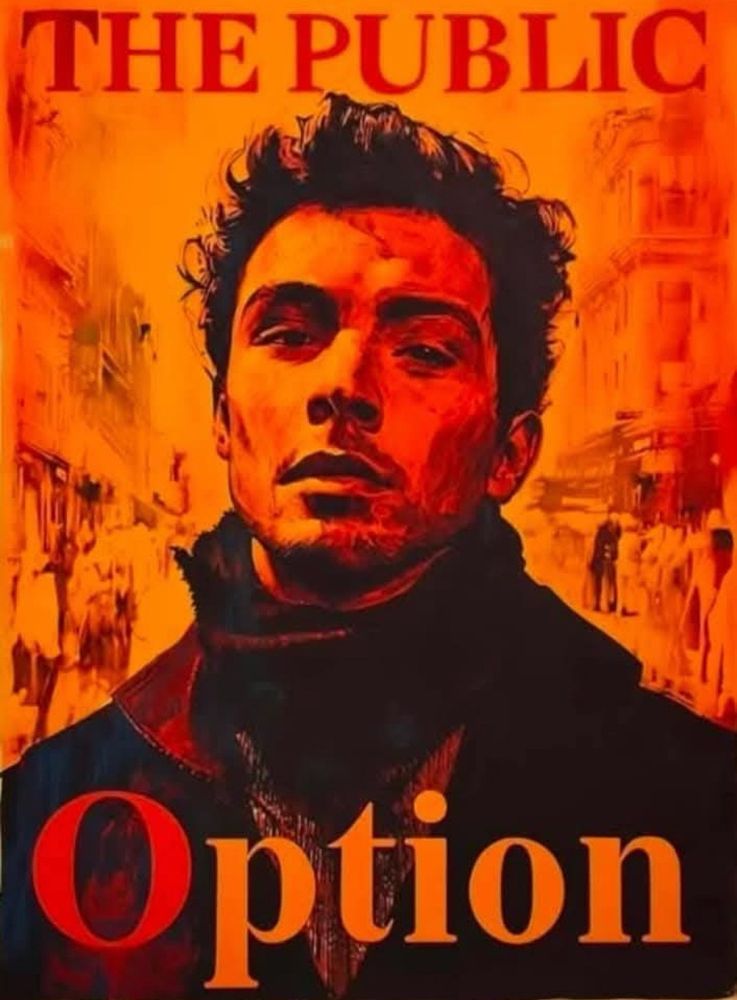 A stylized photo of Luigi mangione with the text The Public Option over a fiery background