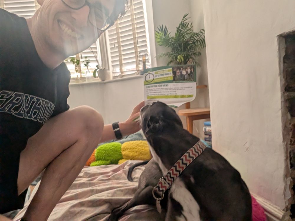 William the greyhound sniffing at a 60 second survey whilst I take a picture of us both.