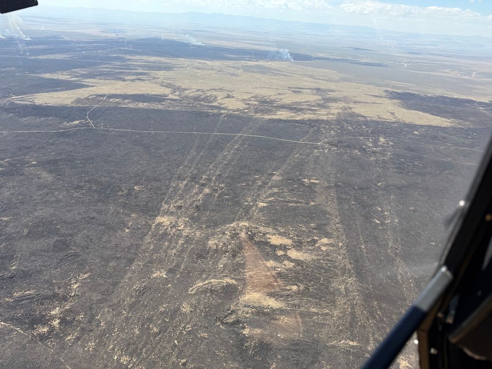 Firenado tracks in the ashes of the burned area. About 6 tracks can be discerned moving from the burned to unburned area. 