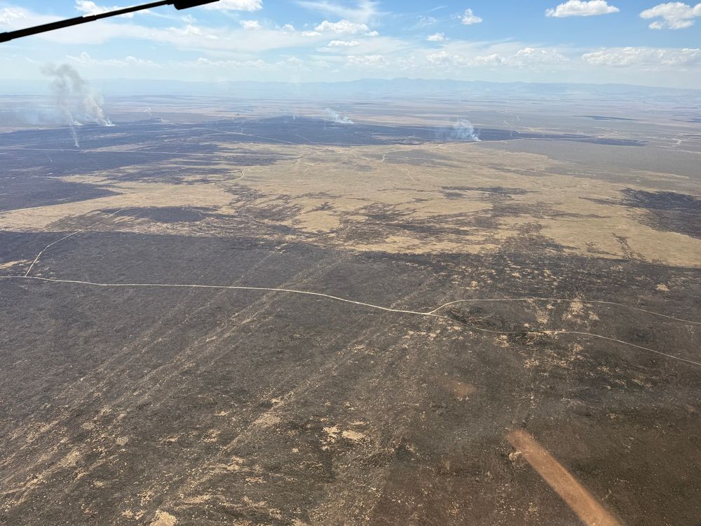 Firenado tracks in the ashes of the burned area. About 6 tracks can be discerned moving from the burned to unburned area. 