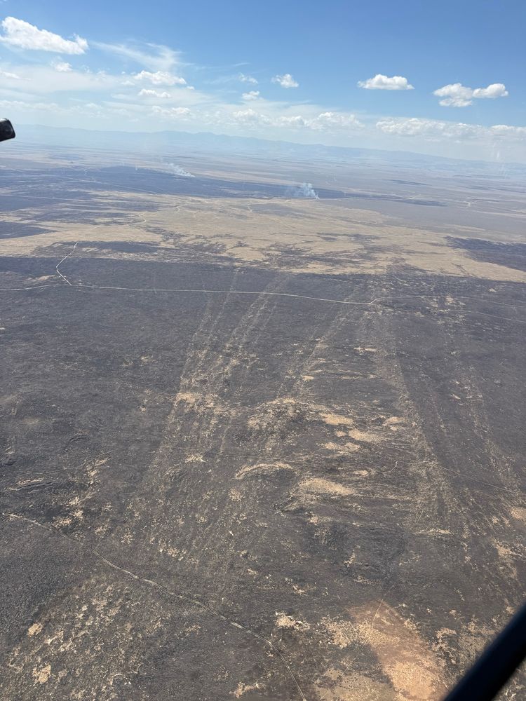 Firenado tracks in the ashes of the burned area. About 6 tracks can be discerned moving from the burned to unburned area. 