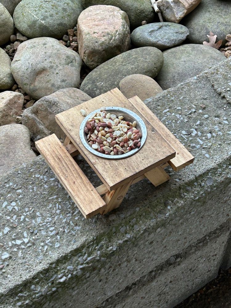 Mini-picnic basket for squirrels on Vandy’s campus.