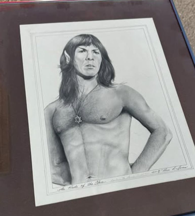 Framed drawing of a hot long haired Spock 