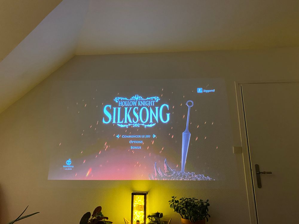Hollow knight silksong