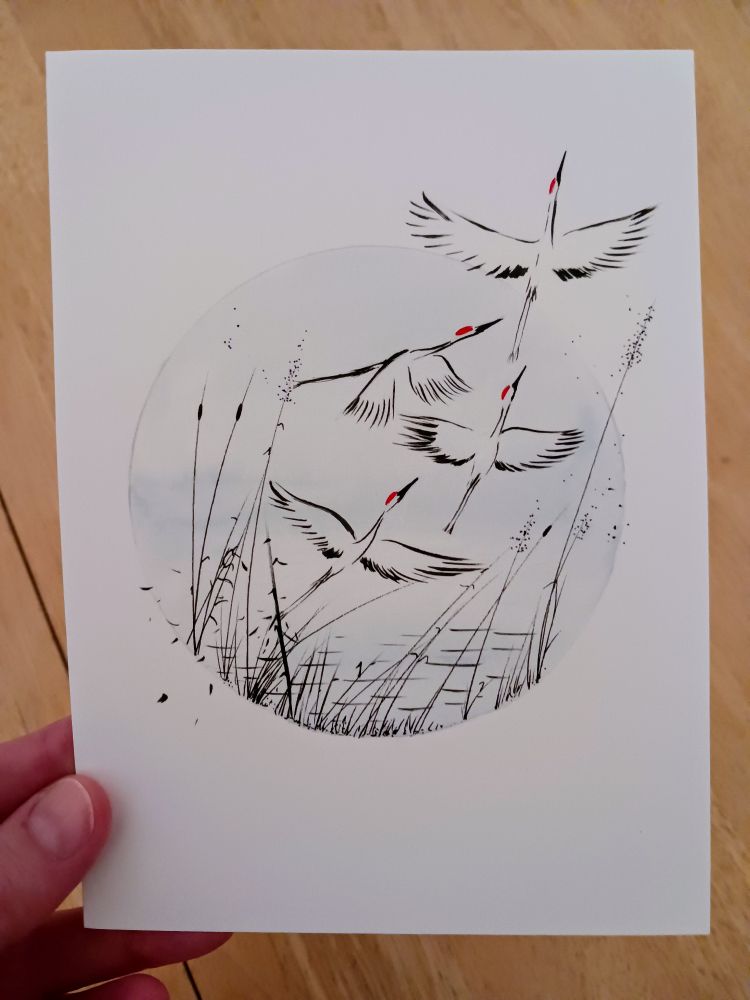 A watercolor-filled circle with 4 red-crowned cranes in flight inside and beginning to fly out of it. The background is pale gray, fading into blue. Reeds, cattails, and water create  the setting for the cranes. Art by me.