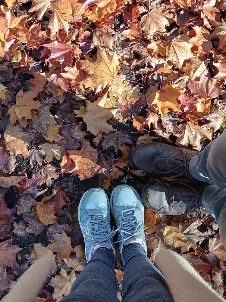 A photo of a leaf-covered sidewalk with my husband's and my shoes in the shot. 