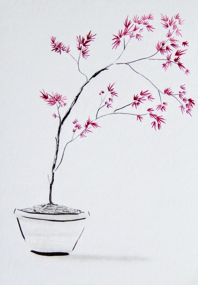 A brush pen and Chinese watercolor of a young Japanese maple tree in a pot. Art by me.
