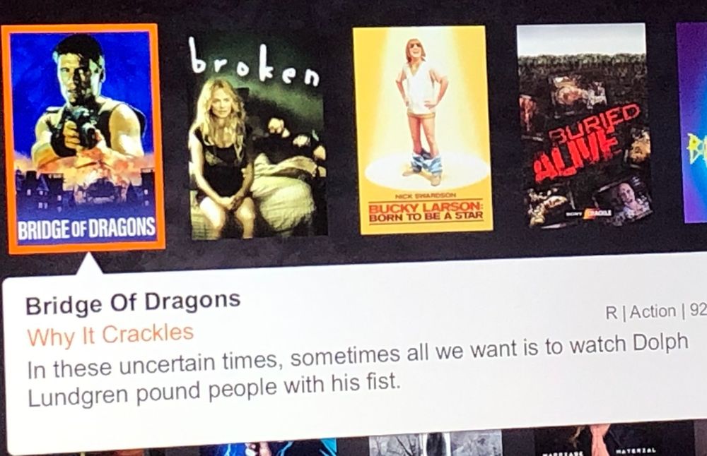 Bridge of Dragons summary: In these uncertain times, sometimes all we want is to watch Dolph Lundgren pound people with his fist.